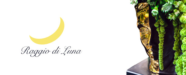 Вазы Raggio di Luna - страсть под маской величия