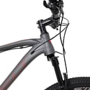 Горный Велосипед Welt Raven 1.0 HD Серый 27 2024