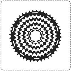 Звёзды задние