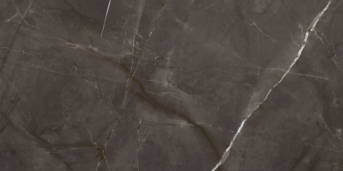 Керамогранит Timeless Marrone 60x120 Laparet LP6012G0051R