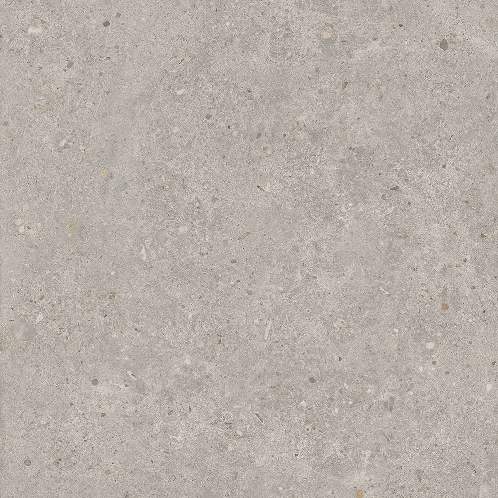 Керамогранит Риккарди серый светлый 60x60 Kerama Marazzi SG653720R