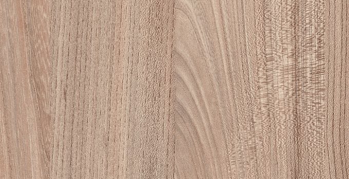 HPL-панель 7172 Вяз Палермо темный Slotex Slotex HPL-панель 7172 Вяз Палермо темный Slotex