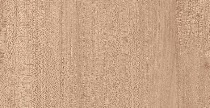 HPL-панель 7173 Вяз Эланд Slotex Slotex HPL-панель 7173 Вяз Эланд Slotex