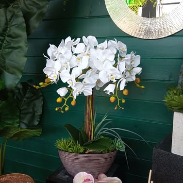 Орхидея в горшке искусств.