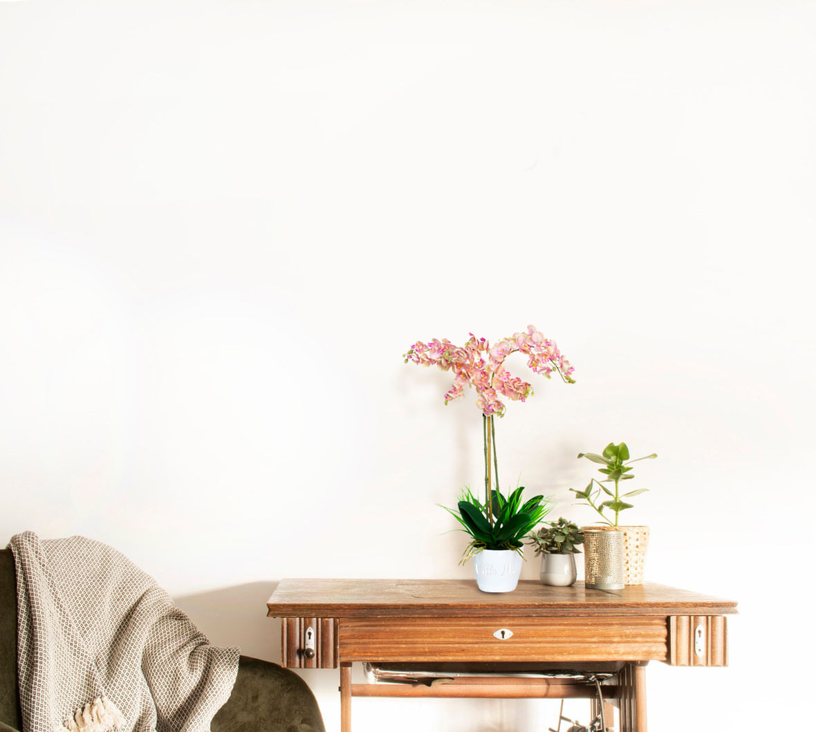 Орхидея Элегантный Фаленопсис Villa Ma искусств.