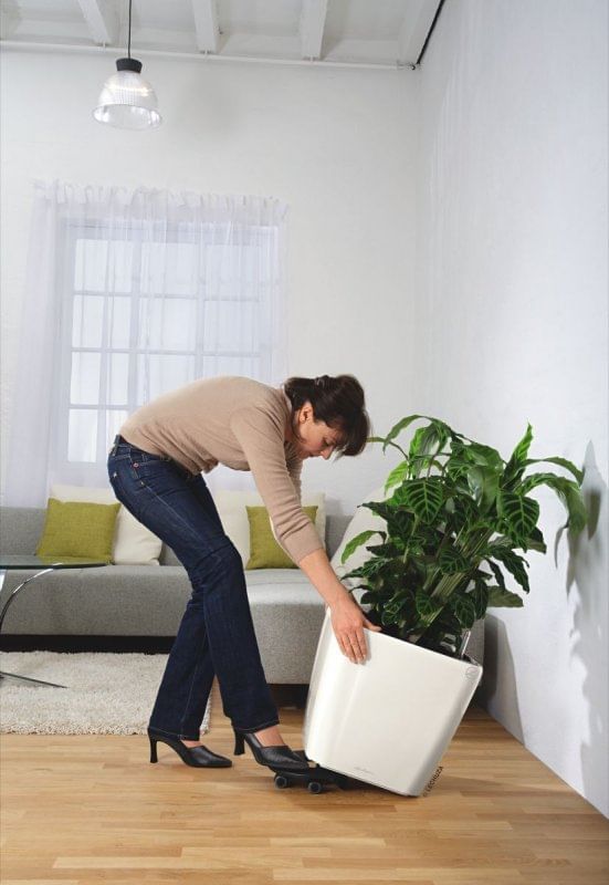 Подставка на колесиках для Classico \ Quadro \ Coaster \ Cube\ Quadro \ Puro lechuza