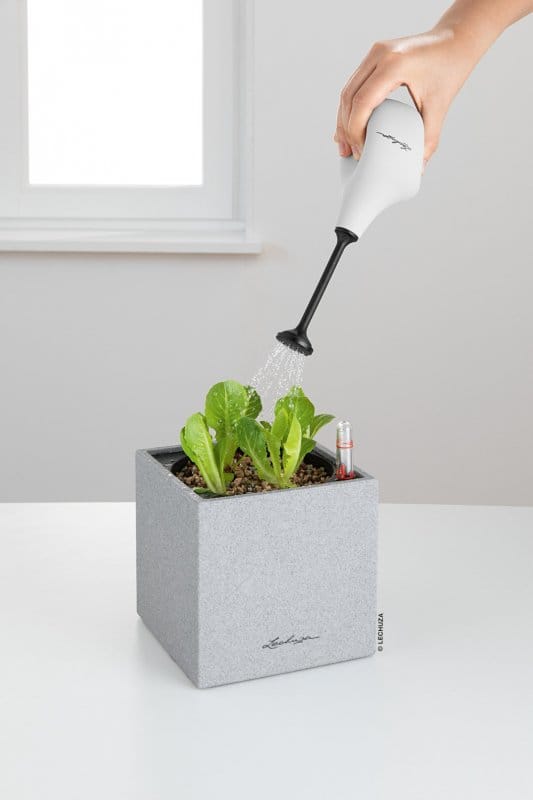 Пульверизатор FLOWER SHOWER lechuza