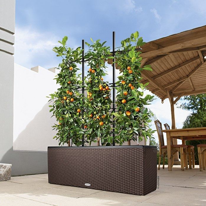 Решетка для Trio Cottage lechuza