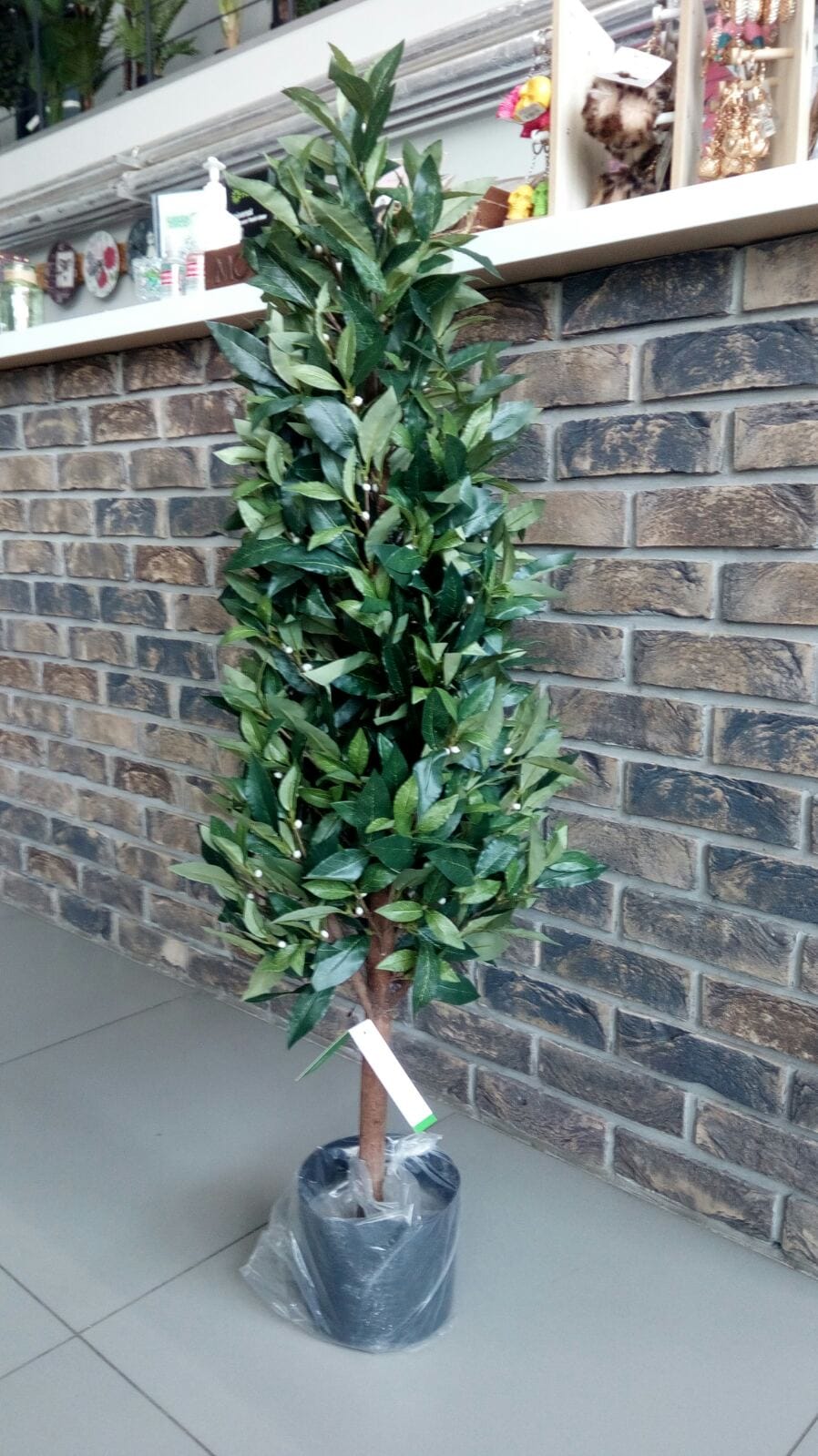 Лавр благородный 150см искусств.