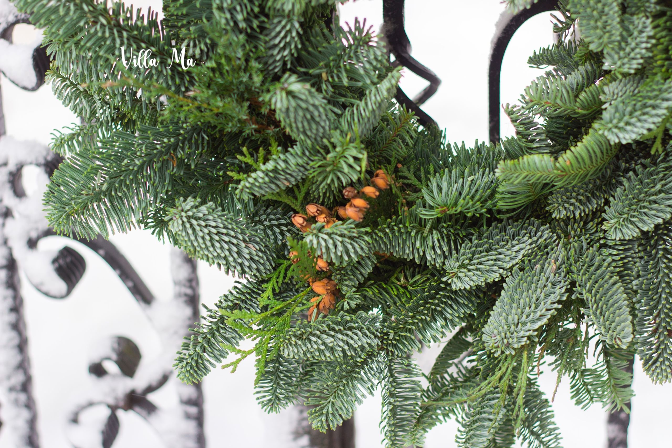 Венок натуральный из пихты Нобилис с зеленью