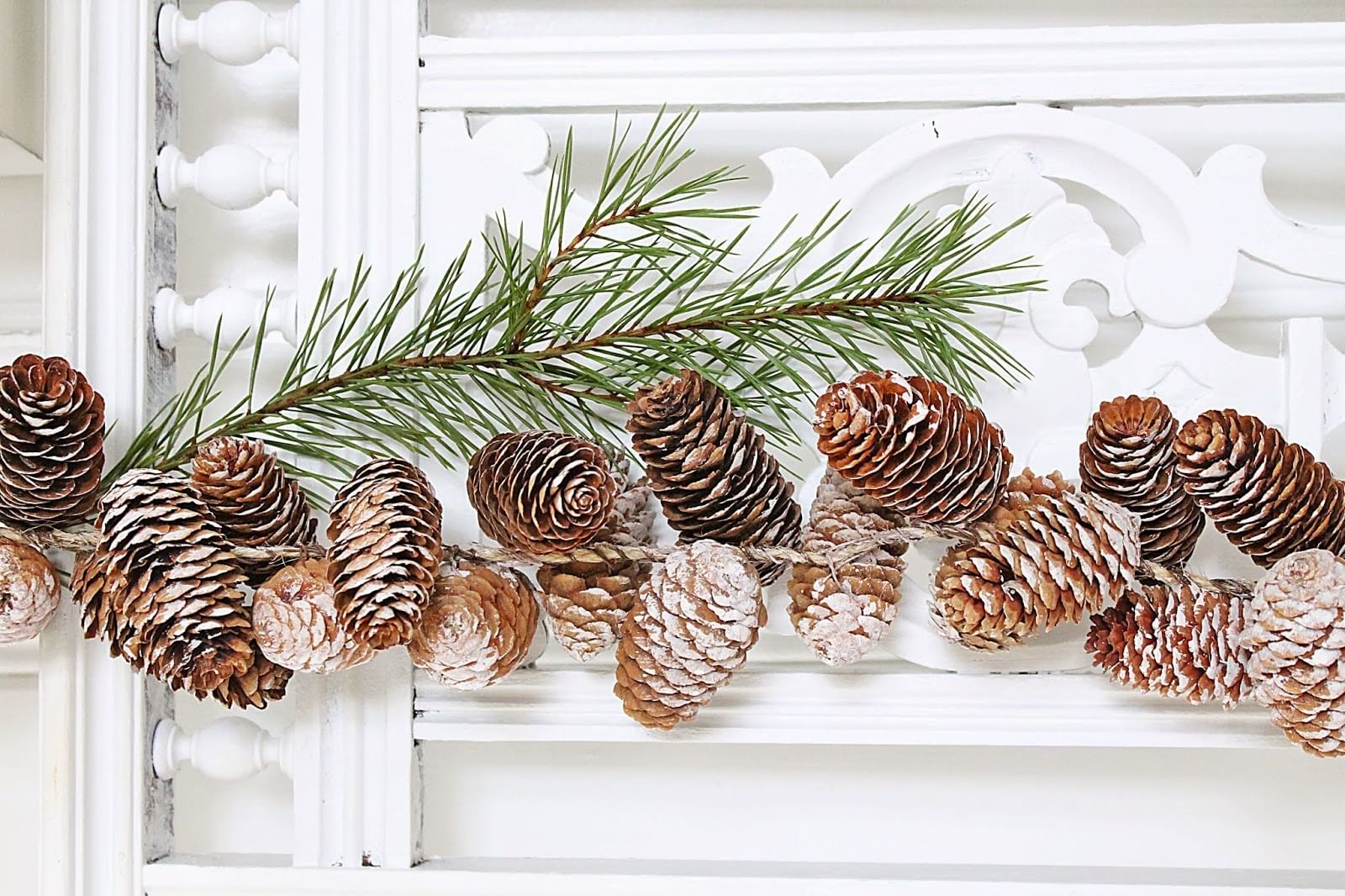 Шишки еловые набор