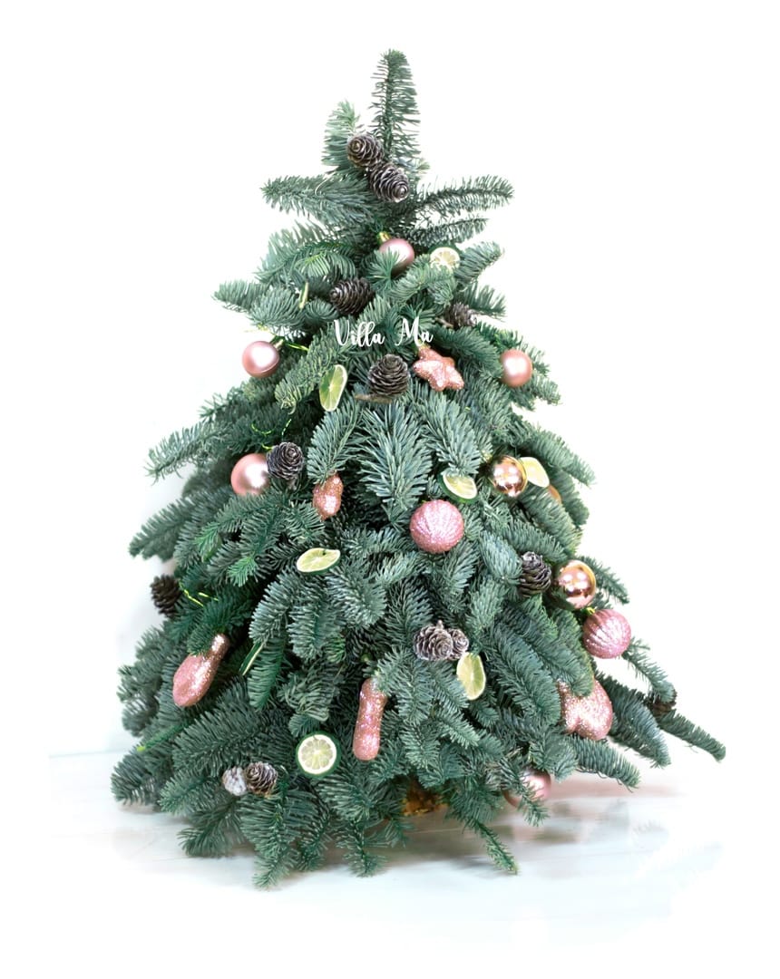 Ёлочка из Нобилиса на оазисе с декором