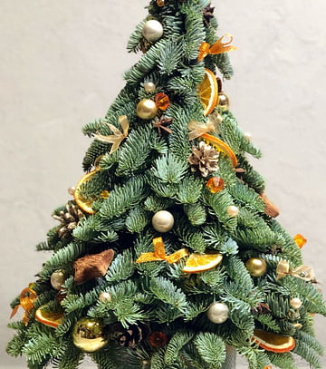 Ёлочка из Нобилиса на оазисе с декором