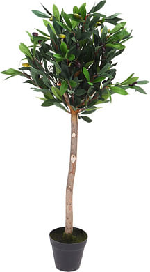 Лавр благородный на штамбе 90см искусств.