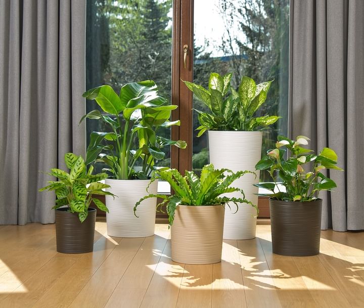 Горшок для цветов Мальва \ Malwa Lamela