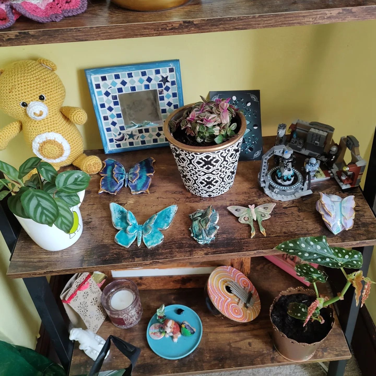 Фиттония Персей