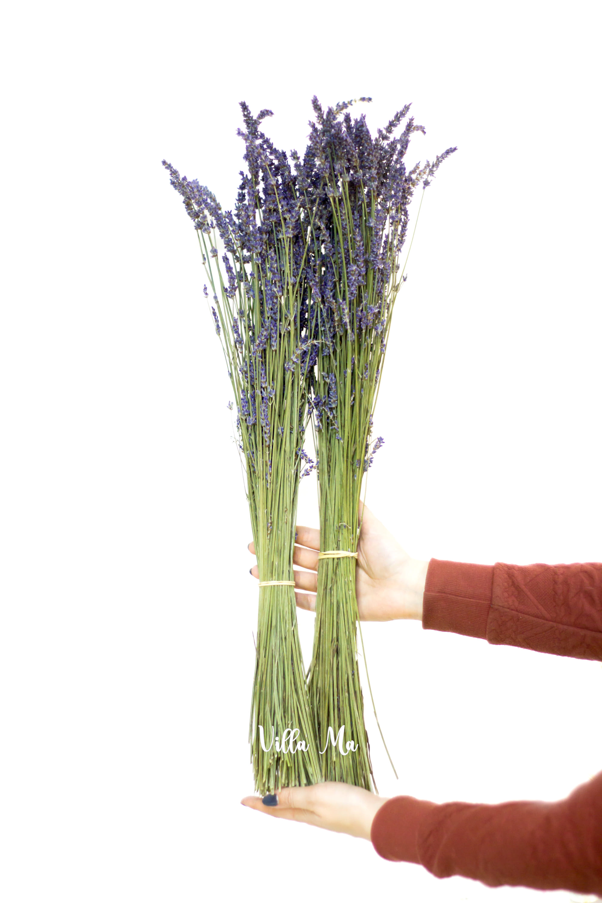 Пучок Лавандина /сухоцветы/