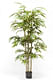 Бамбуковая пальма 210 см искусств.