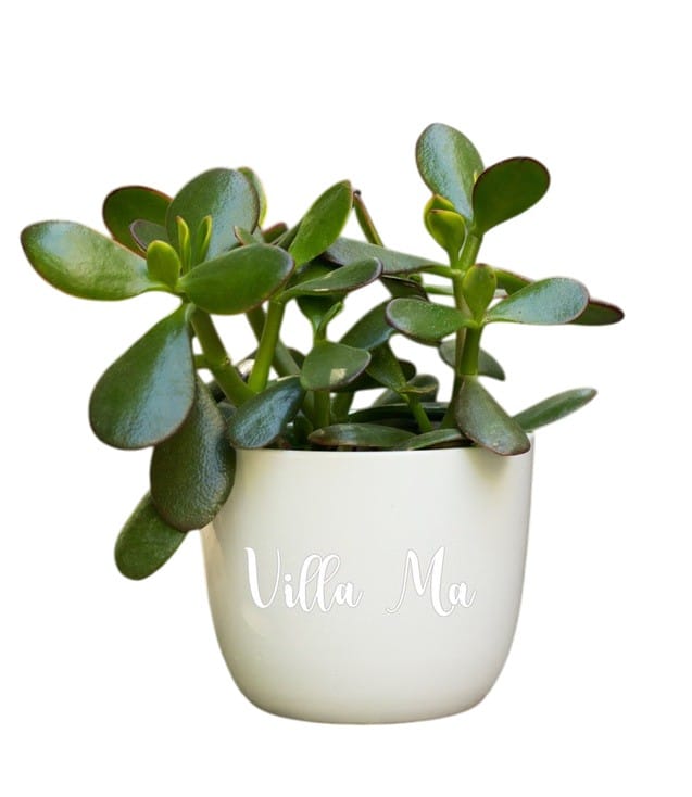 Кашпо Севилла АКЦИЯ, царапины