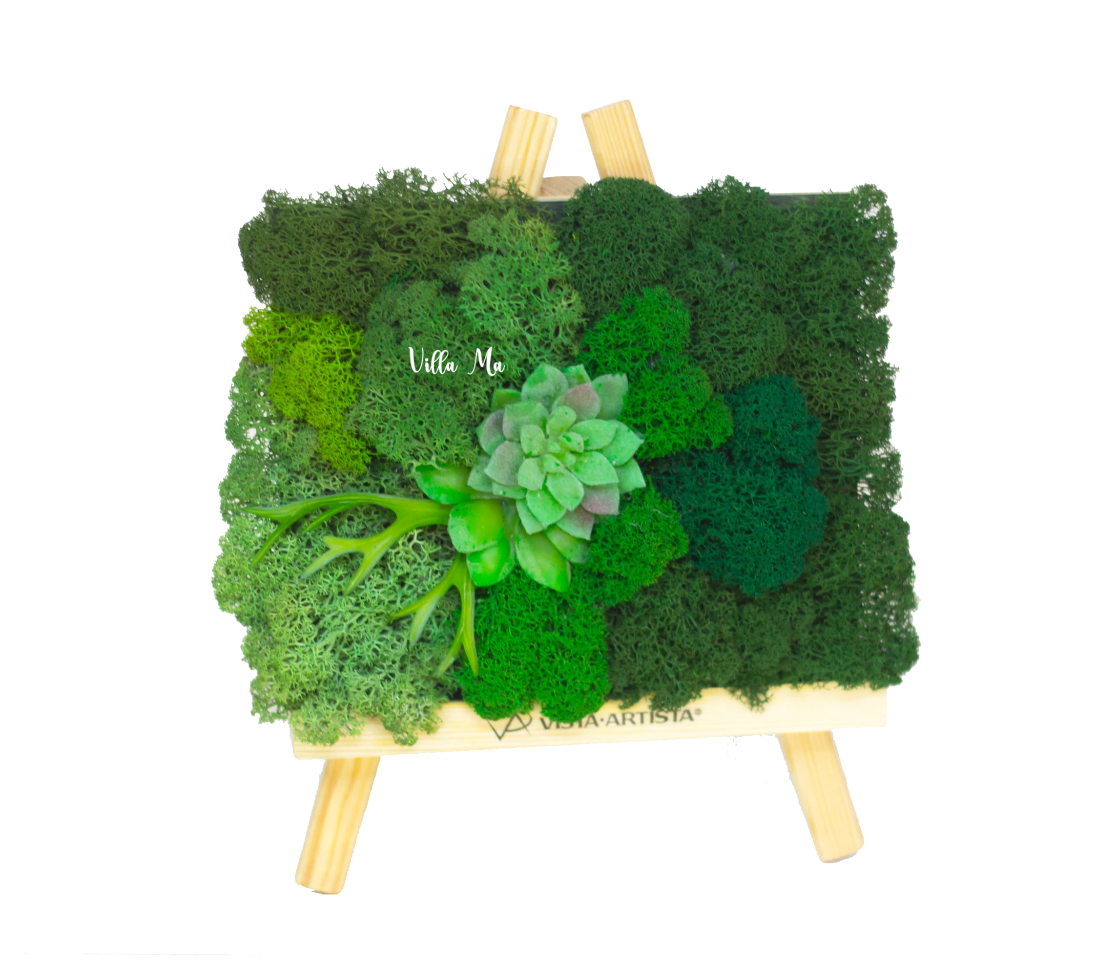 Мини-картина 1 мох стабилиз.