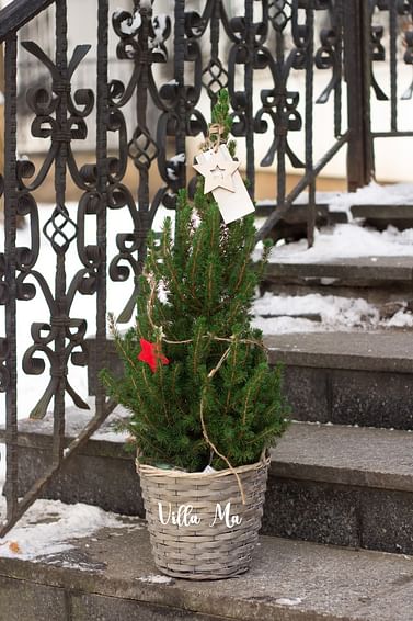 Ель Коника December в корзине с гирляндой и декором новогодняя