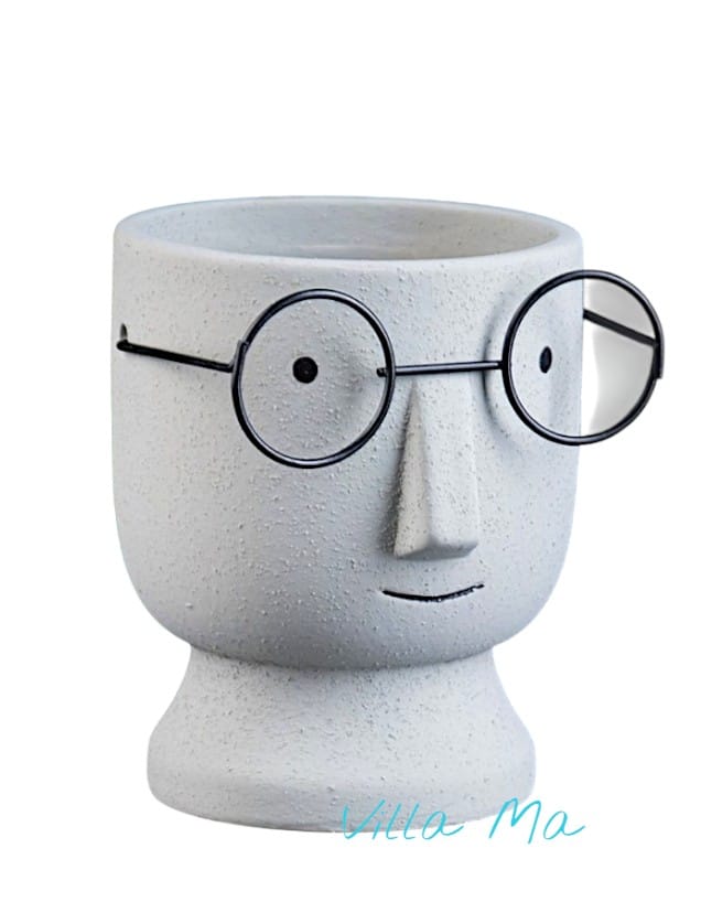 Кашпо "Горшок который выжил"