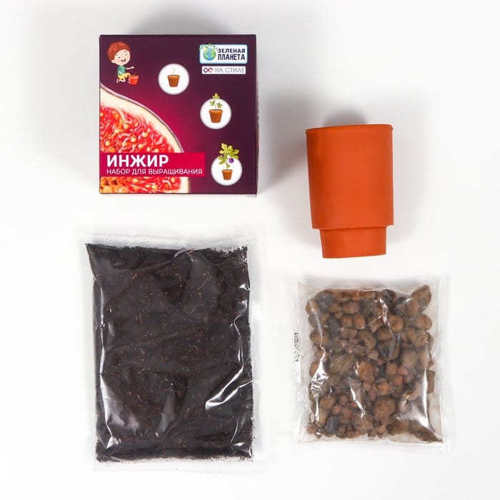 Набор для выращивания растений Инжир