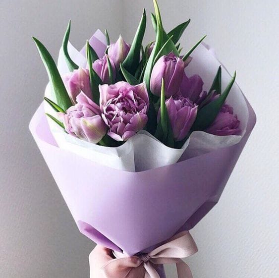 Букет из 25 тюльпанов