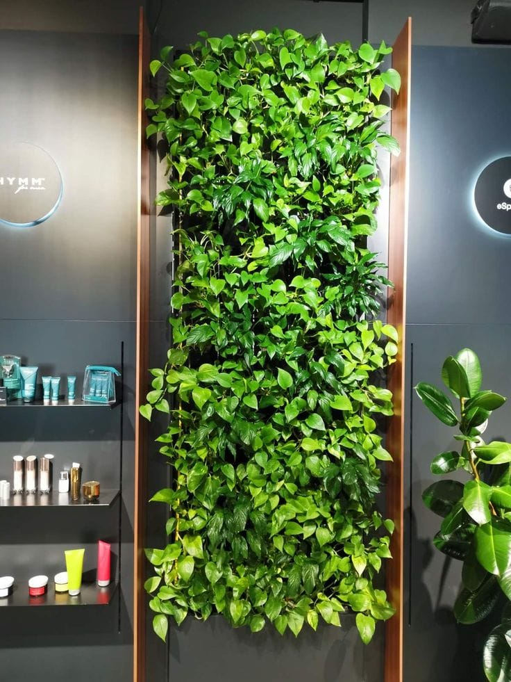 Зелёная стена ФИТОСТЕНА