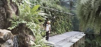 Обслуживание стены