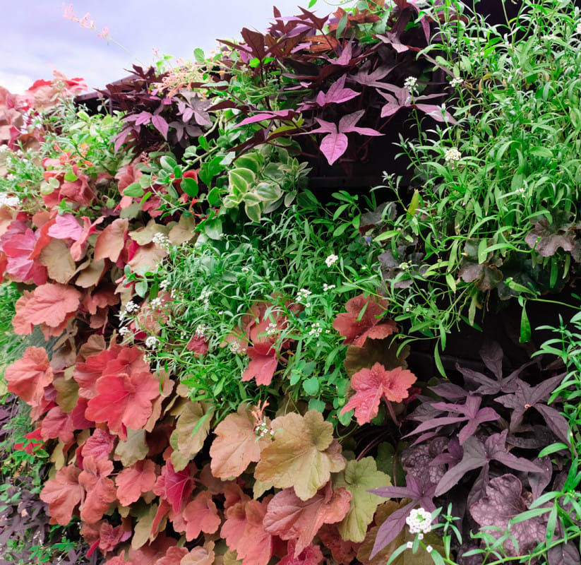 Обслуживание стены