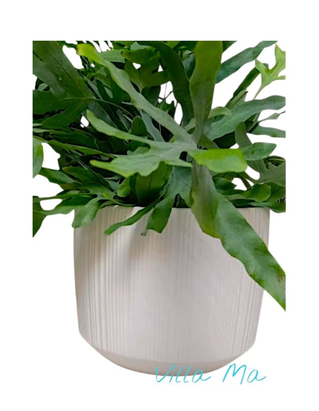 Кашпо для цветов Груви