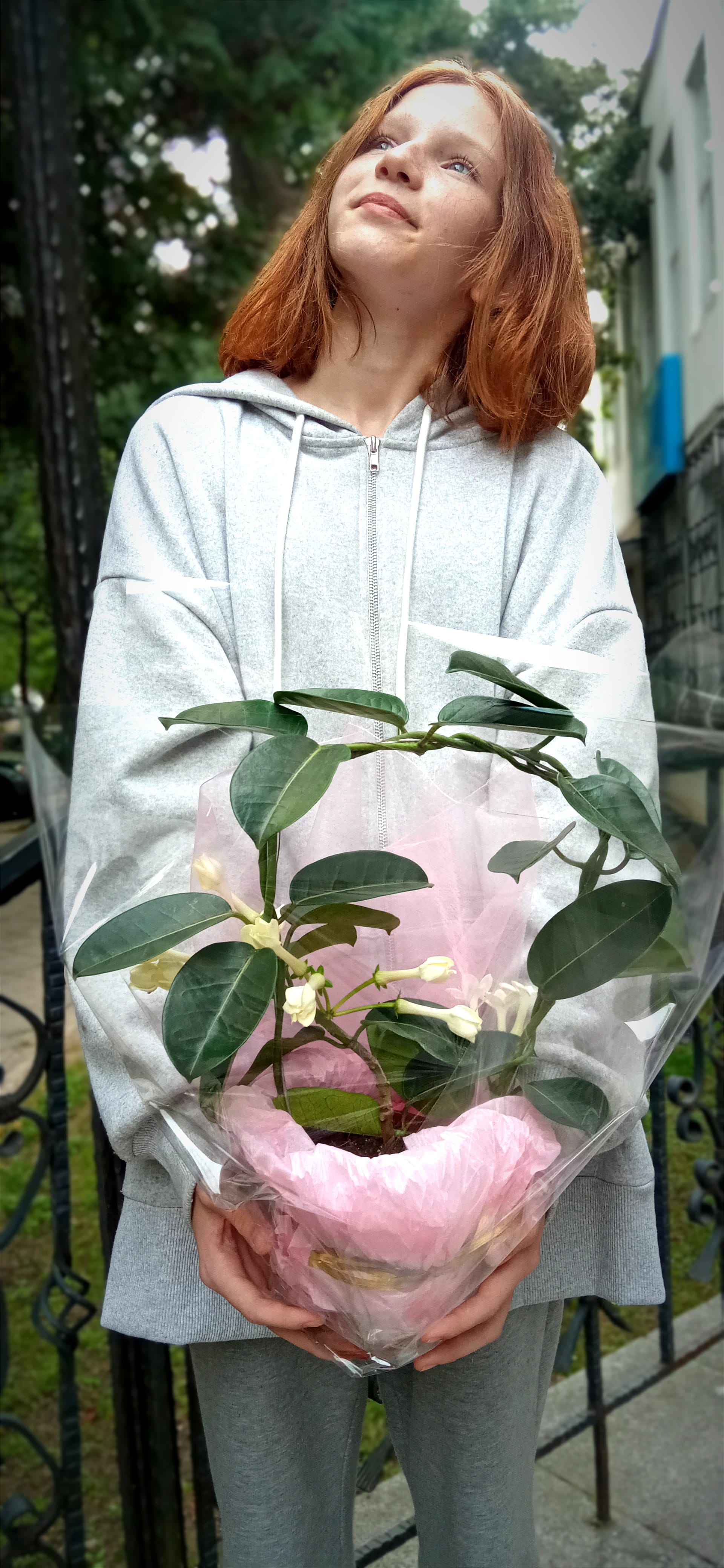 Жасмин мадагаскарский букет