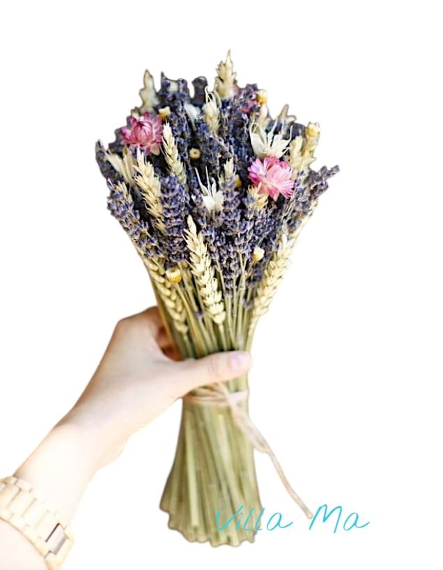 Букет Здравствуй Школа! Villa Ma /сухоцветы/