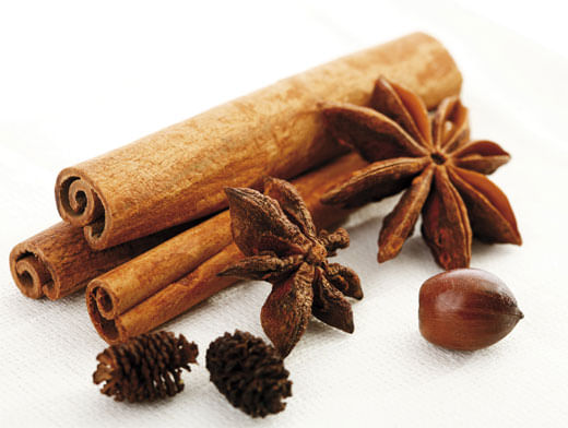 Корица китайская палочки