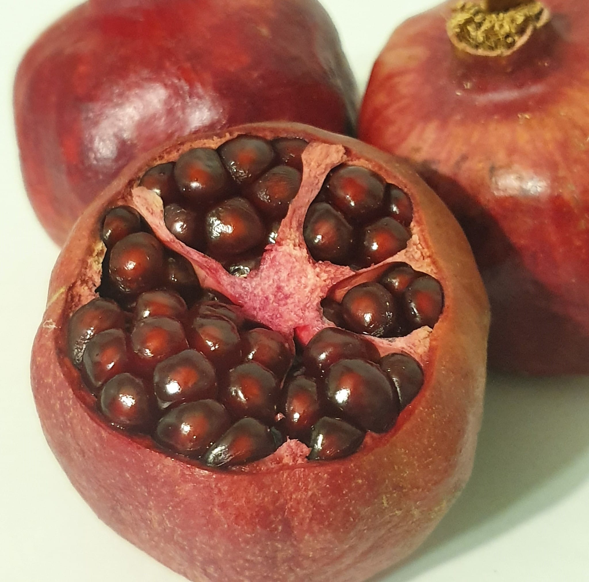 Гранат среднеплодный