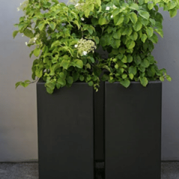 Коллекция Кари