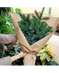 Нобилис букет с огоньками Нобилис букет с огоньками