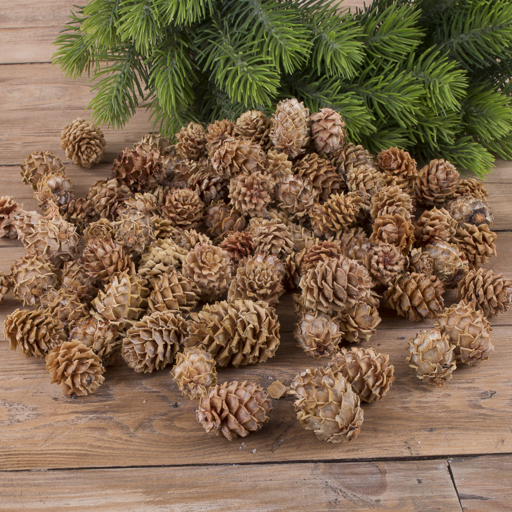 Шишки декоративные набор