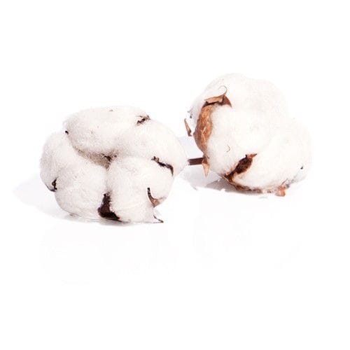 Хлопок натуральный коробочка