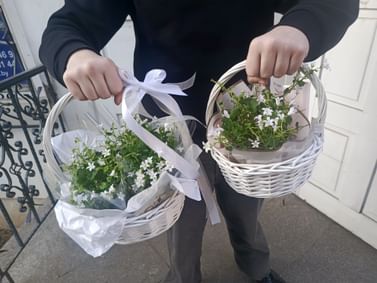 Корзинка из лозы круглая