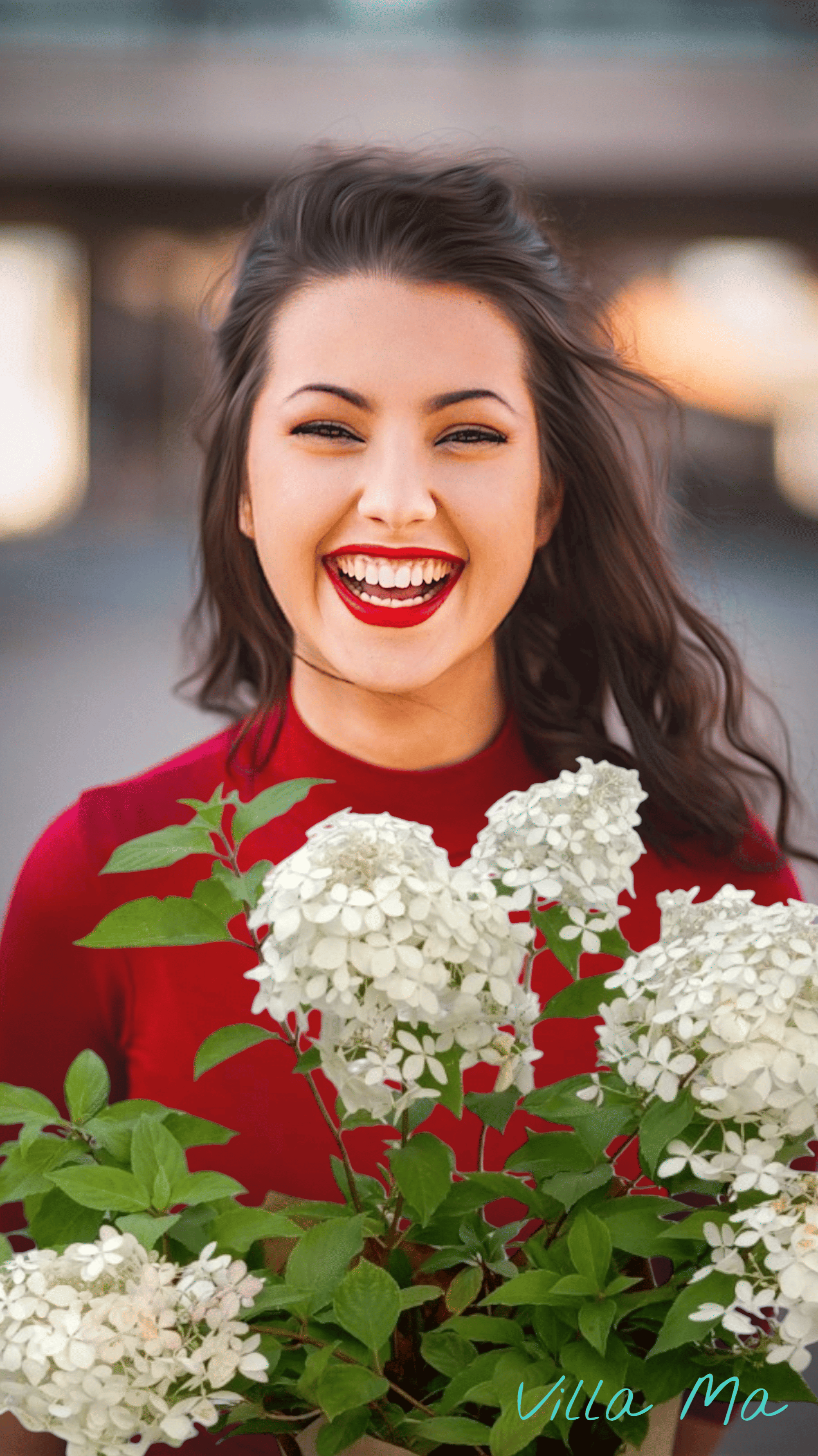 Гортензия Ванилла Фрэйз цветущая