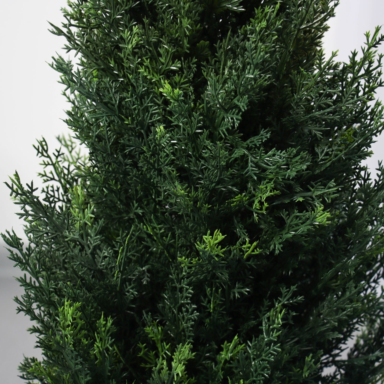 Туя искусственная