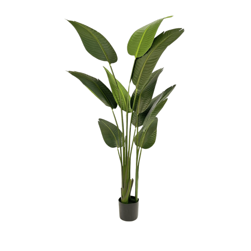 Банановая пальма в горшке, 165см, пластик