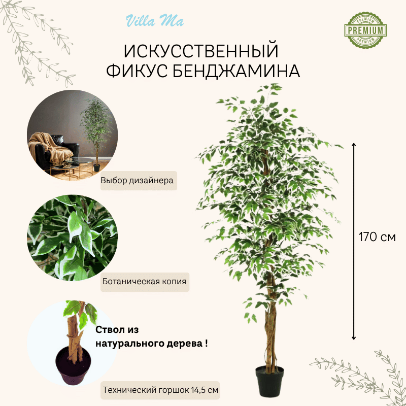 Фикус бенжамина Анастасия 170см искусств.