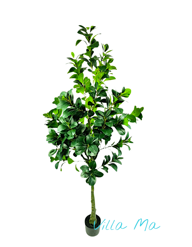 Фикус каучуковый молодой 160см искусств.