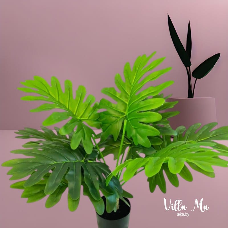 Филодендрон Селло 65см искусств.