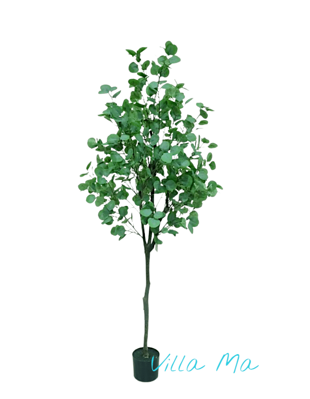 Эвкалипт пепельный дерево 170см искусств.