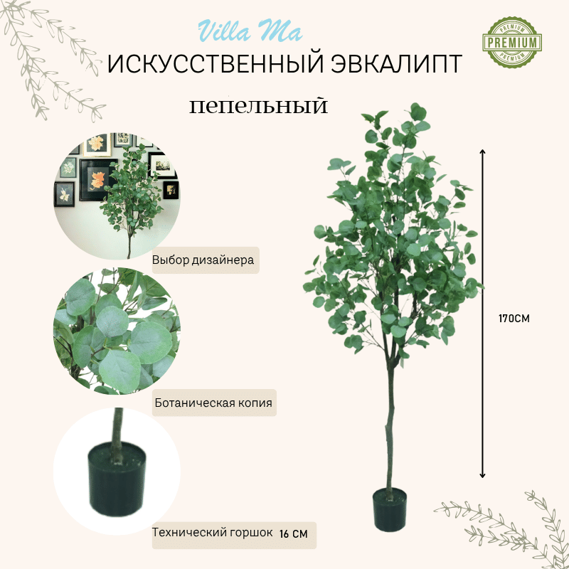 Эвкалипт пепельный дерево 170см искусств.