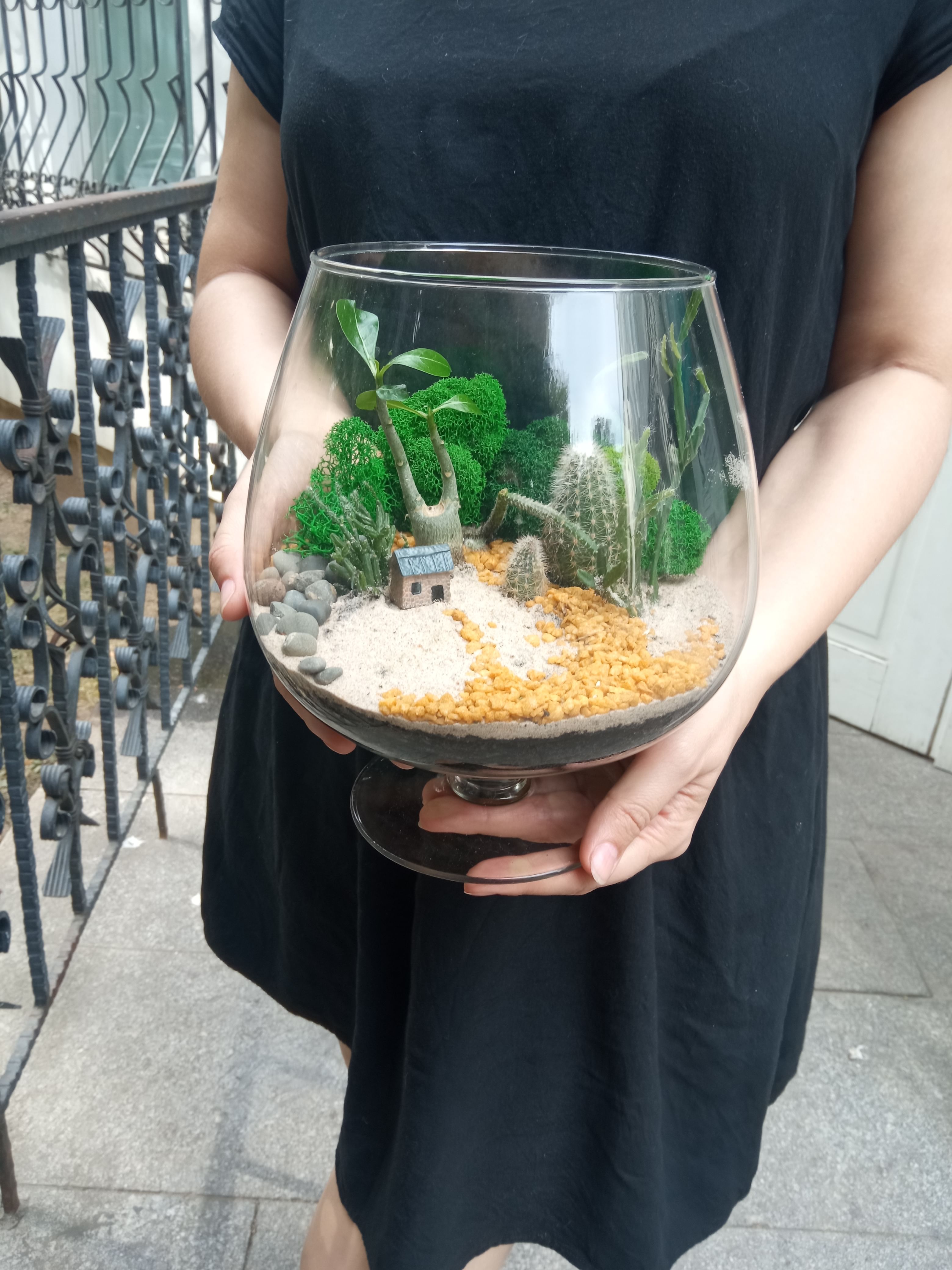 Флорариум Африка в бокале Д16см Villa Ma